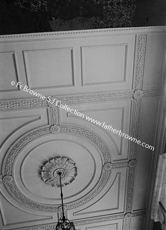 SOME DETAILS OF CEILING IN HALL